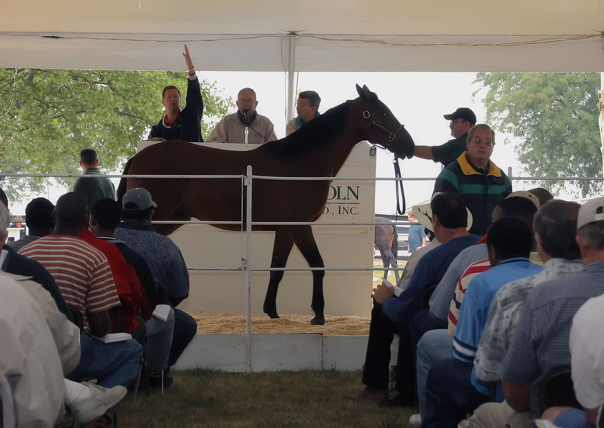 Land Of Lincoln Standardbred Sales Co. Gallery