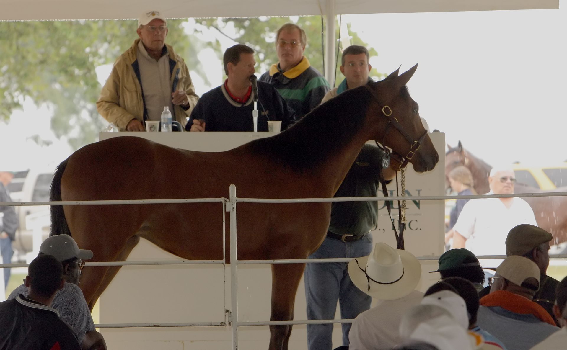 Land Of Lincoln Standardbred Sales Co. Gallery