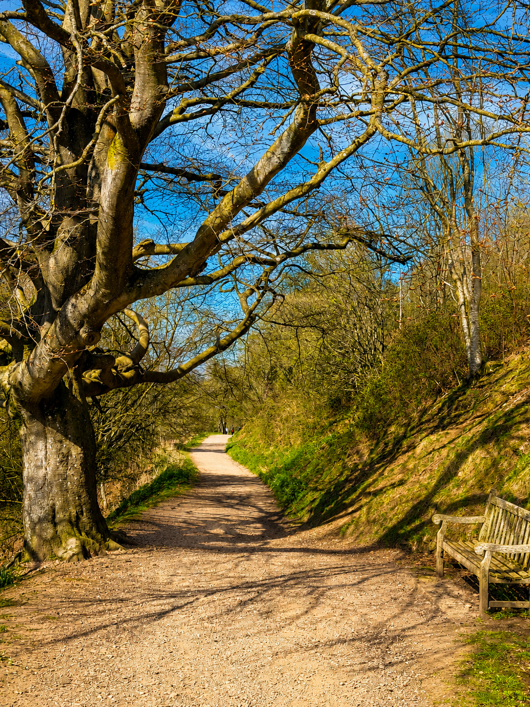 malvern-hills-woodland-walk