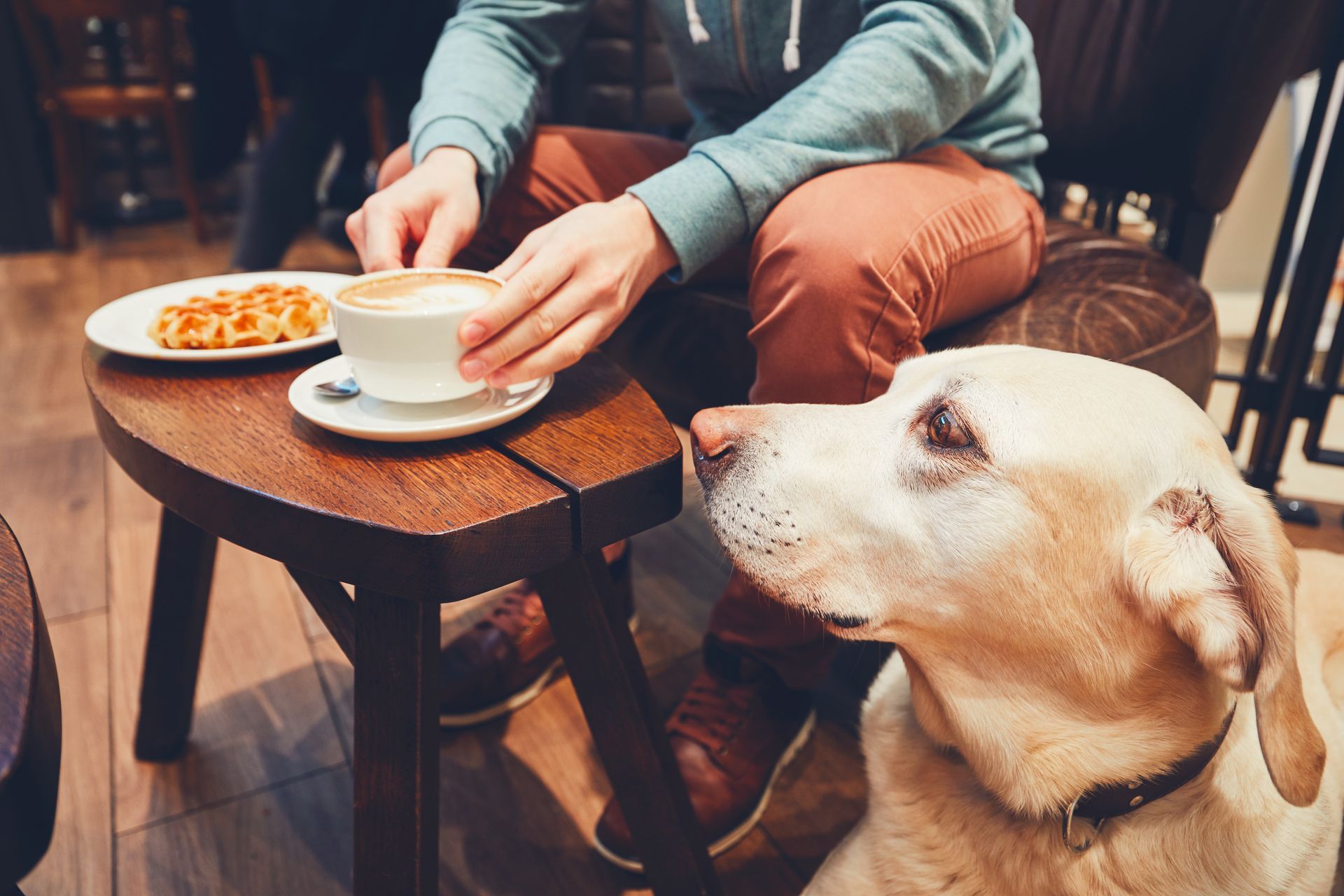 Person serving coffee at a small café table while a dog watches nearby.