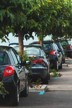 A line of dark-colored cars parked in a row under a line of trees.