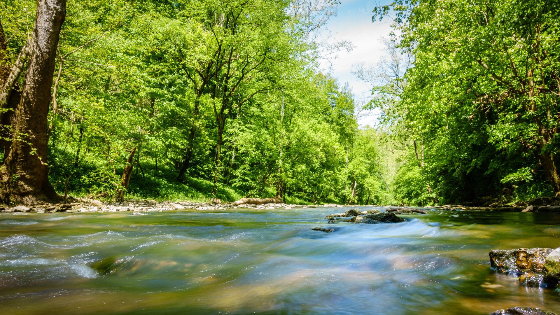 View from the water on Jessamine Creek in Nicholasville, Kentucky