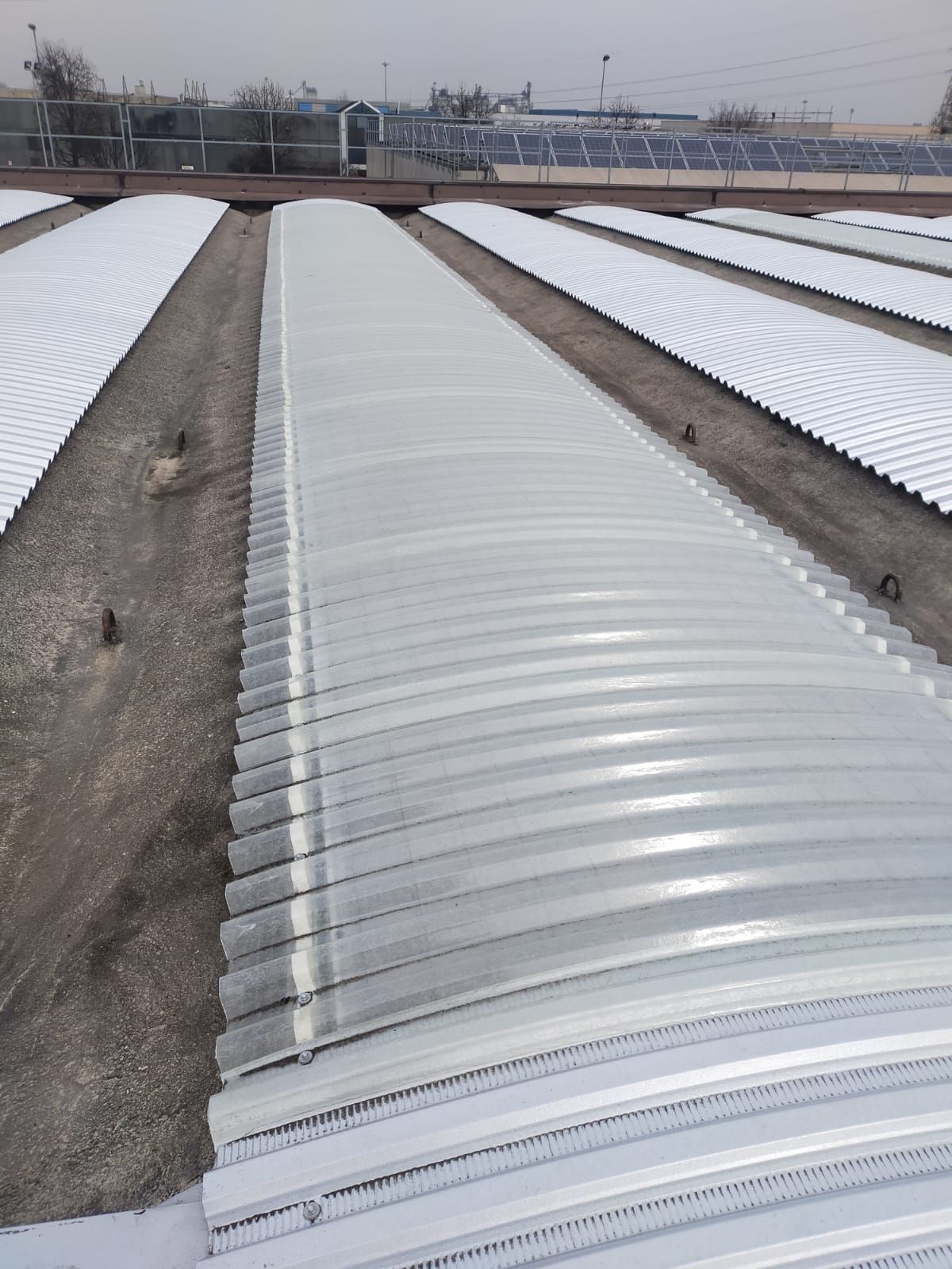 Serra sul tetto con lunghe file ricoperte da teli di plastica traslucida, sotto un cielo nuvoloso.