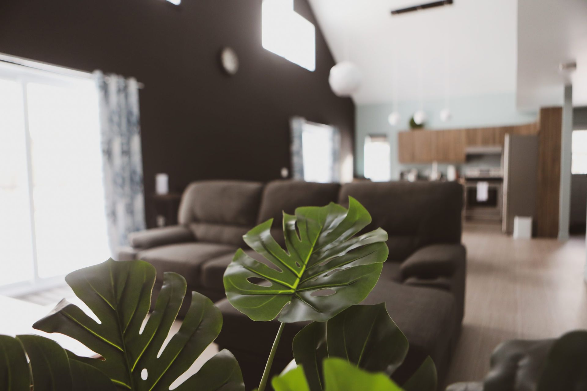 Un salon avec un canapé et une plante au premier plan.