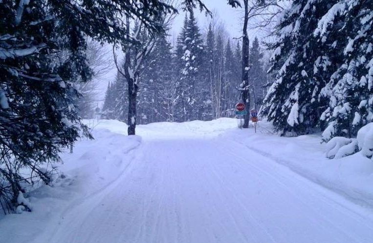 Une route enneigée dans les bois avec des arbres couverts de neige