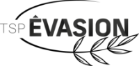 LOGO Tsp evasion