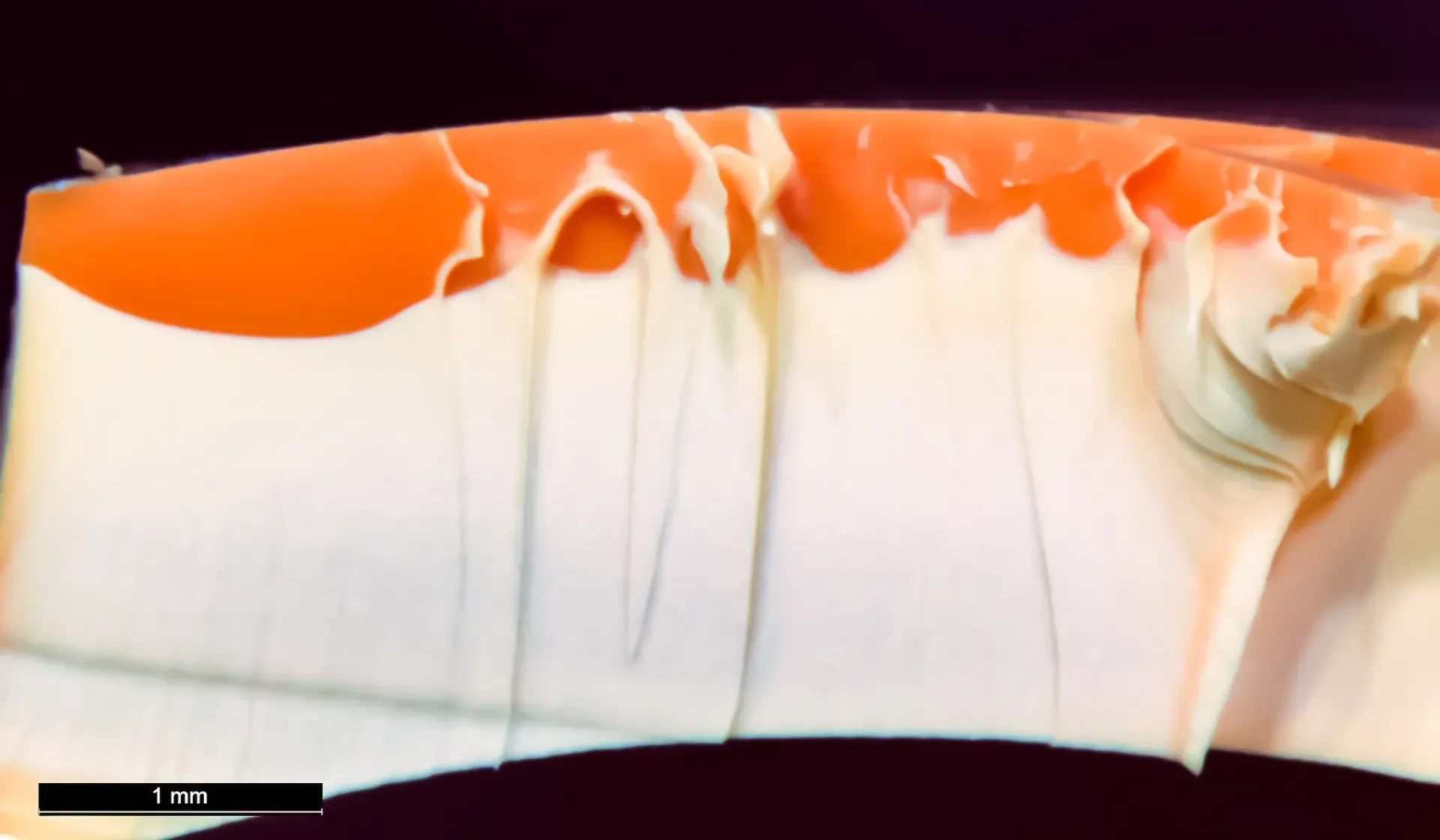 Fracture surface of CPVC pipe with brittle crazing on top surface.