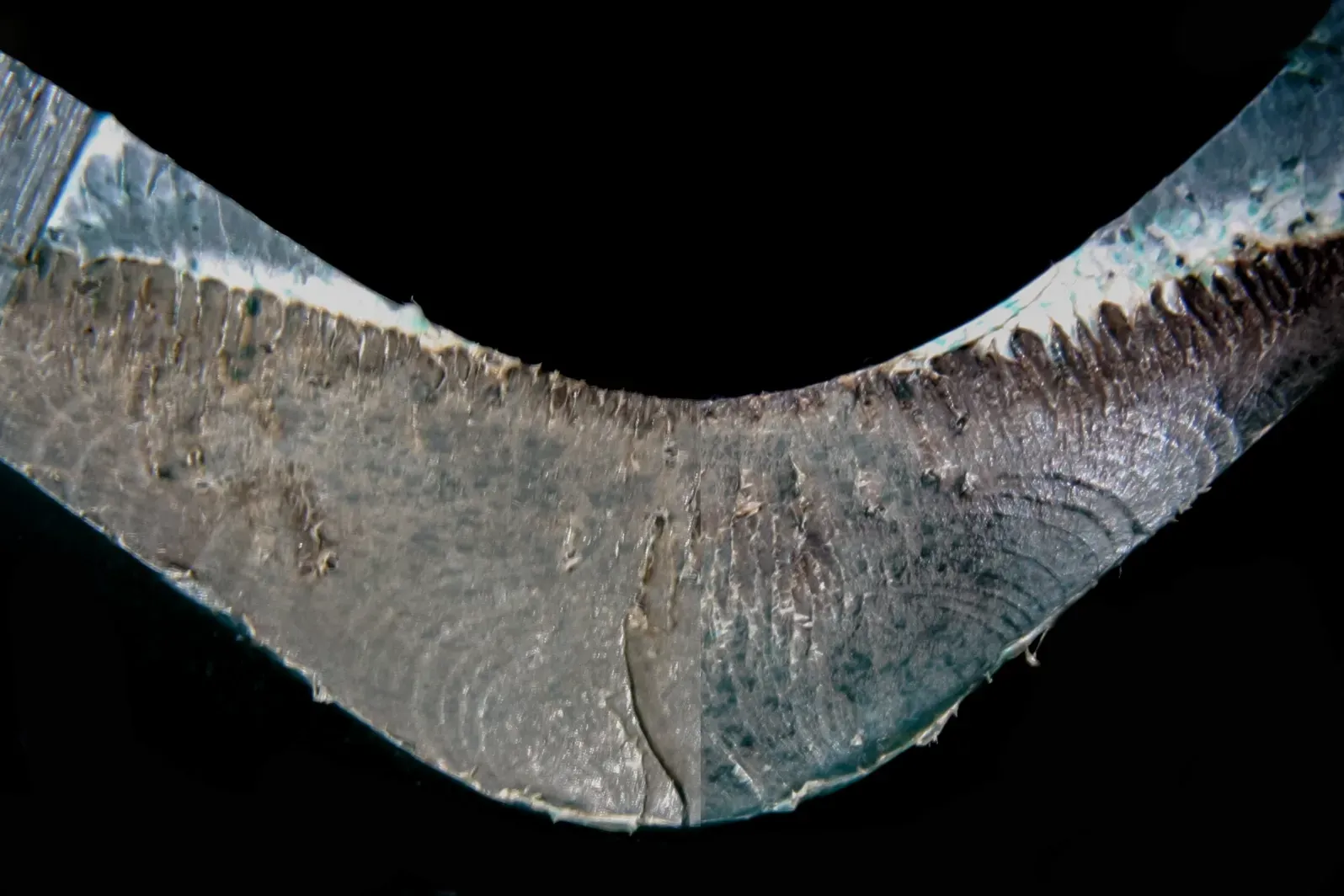 Fracture surface of HDPE oil tank showing fatigue striations