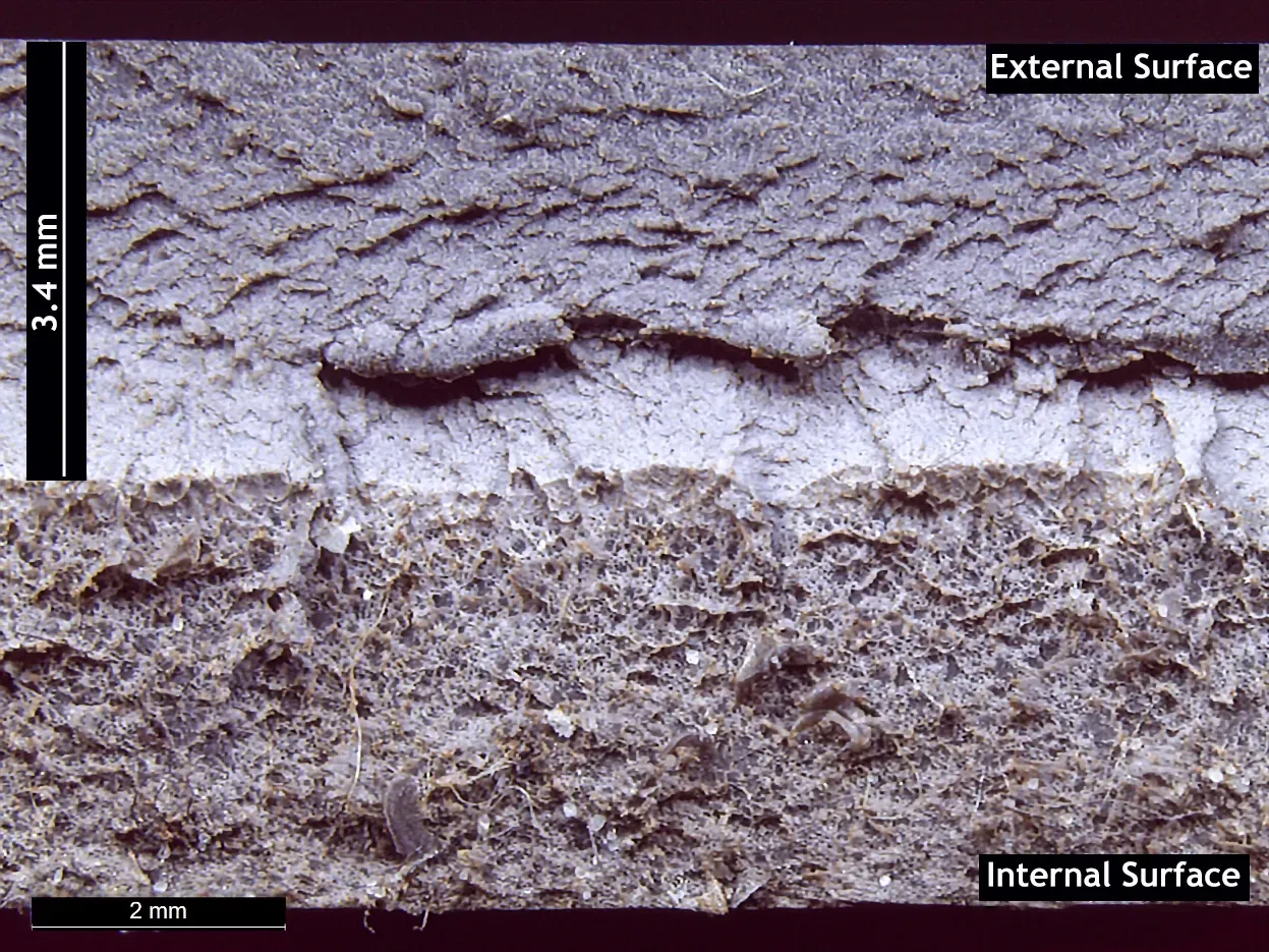 Fracture surface - CPVC pipe