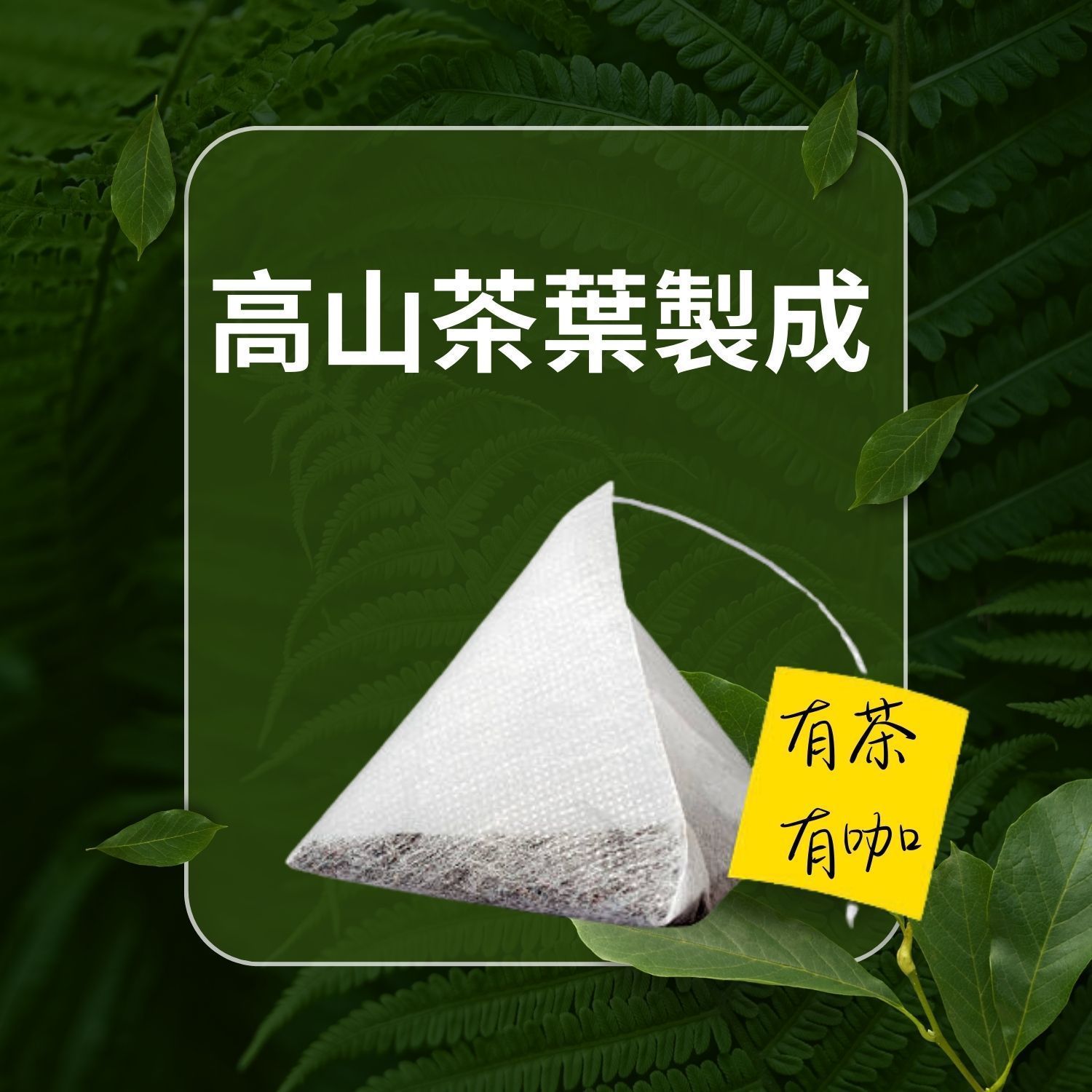 玻璃茶壺裡泡著綠茶，桌上放著茶杯和茶筅，背景是花園。