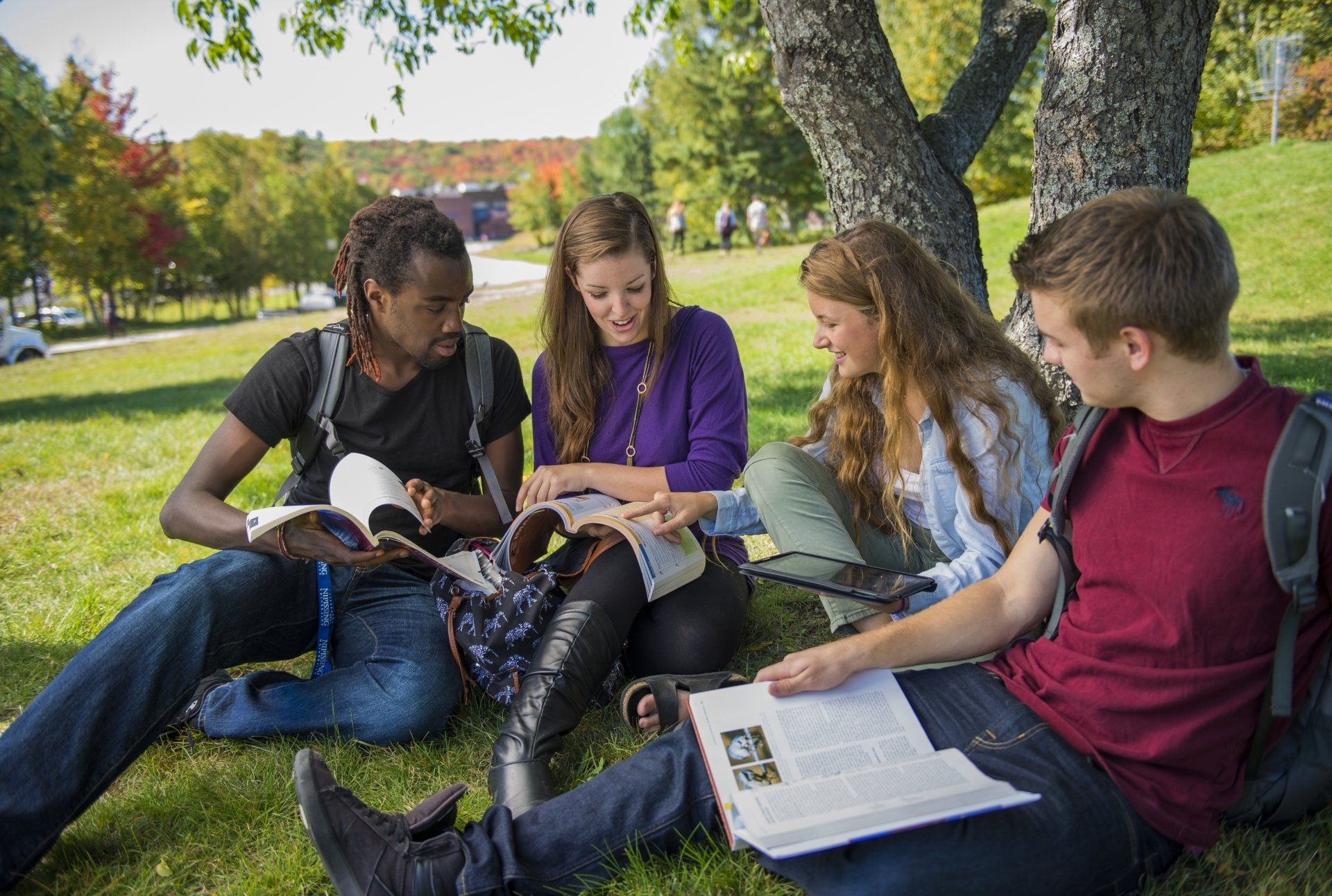 A group of students are sitting under a tree reading books.