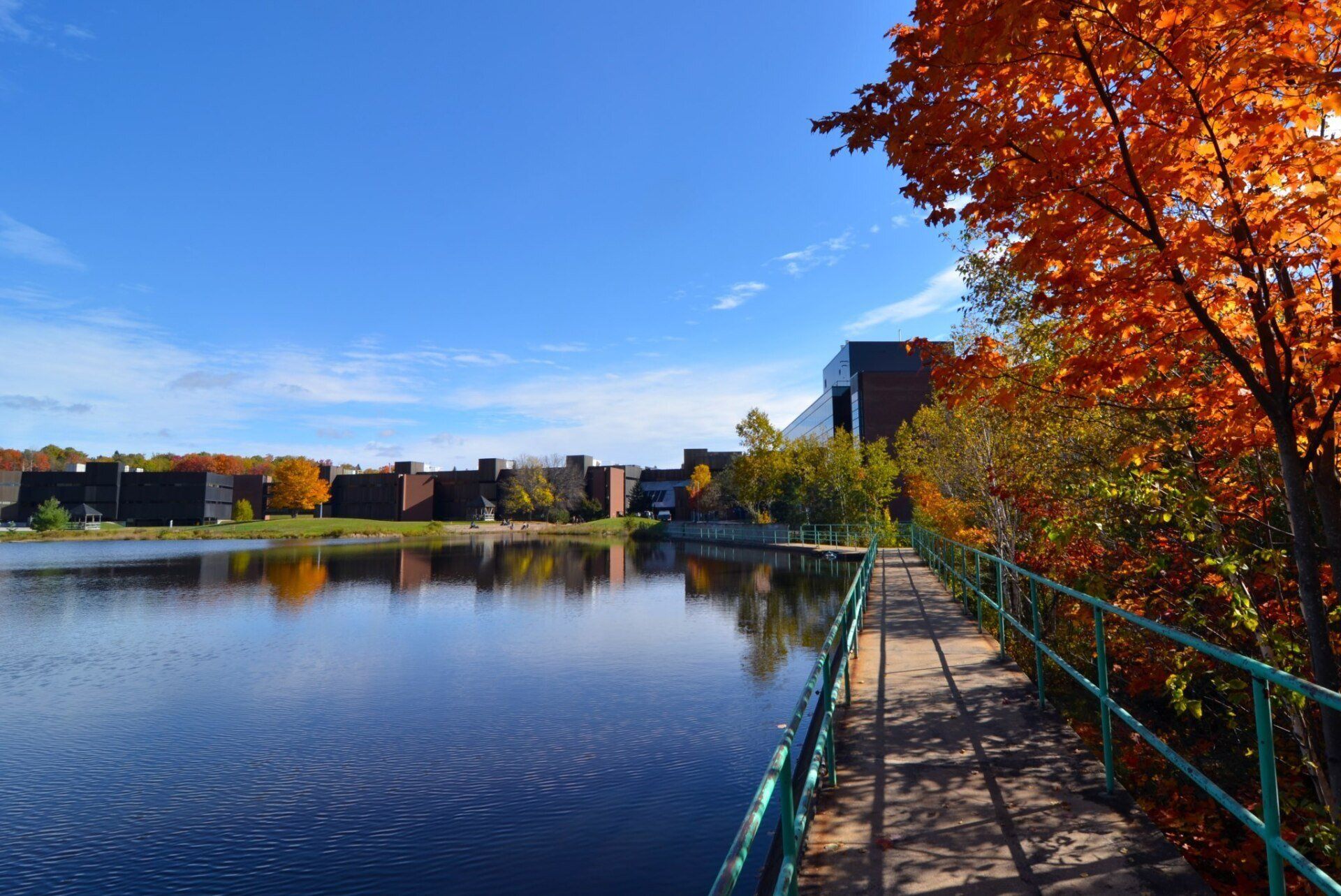 A bridge over a lake with a building in the background