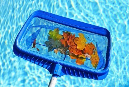 A Pool Cleaning Net is Filled With Leaves in the Water — Poolside Noosa in Noosaville, QLD