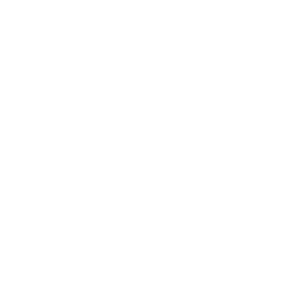 Blank white image with no visible content.