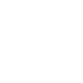 Empty white background.