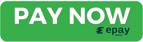 Green “PAY NOW” button with ePay logo