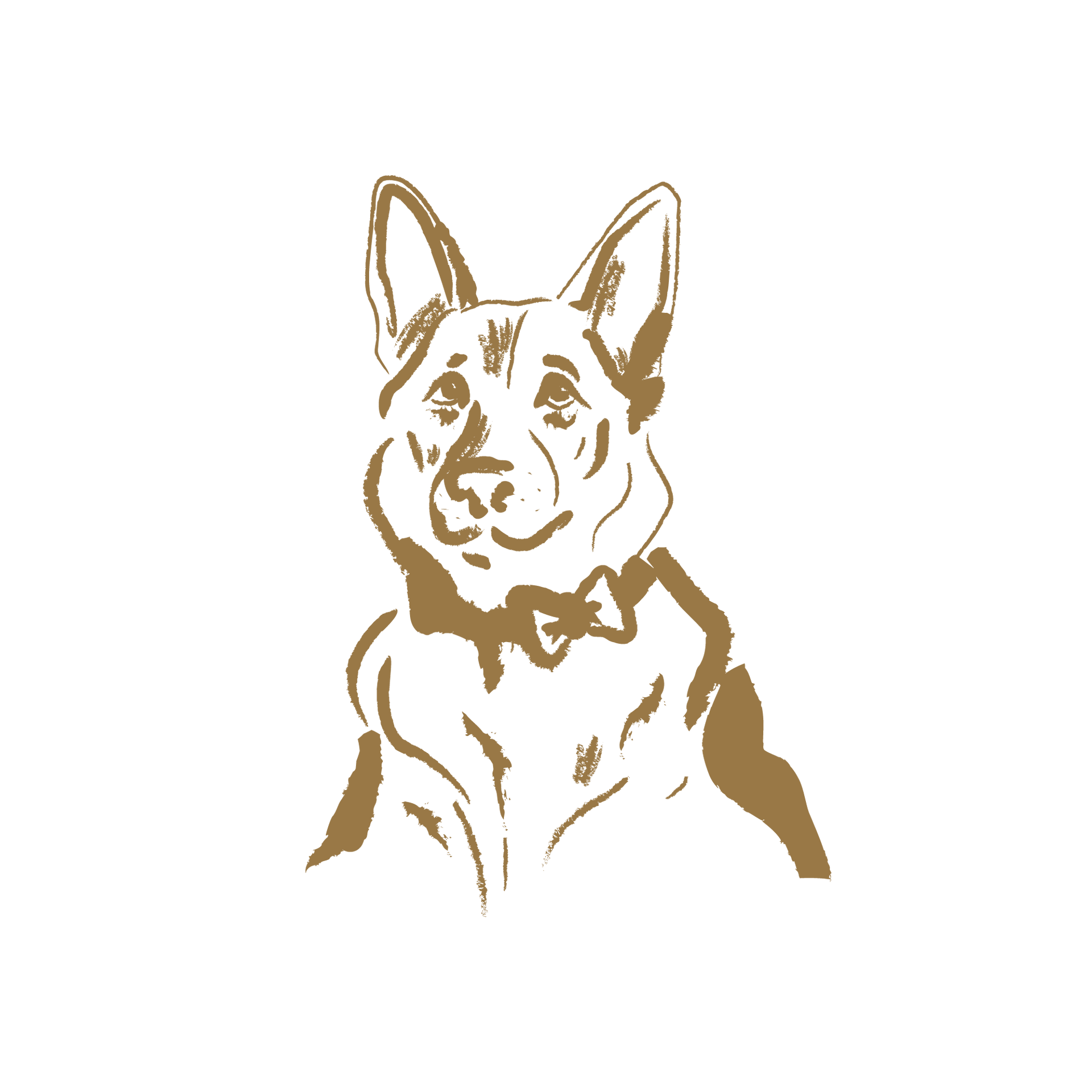 A sketch of a German Shepherd wearing a bowtie