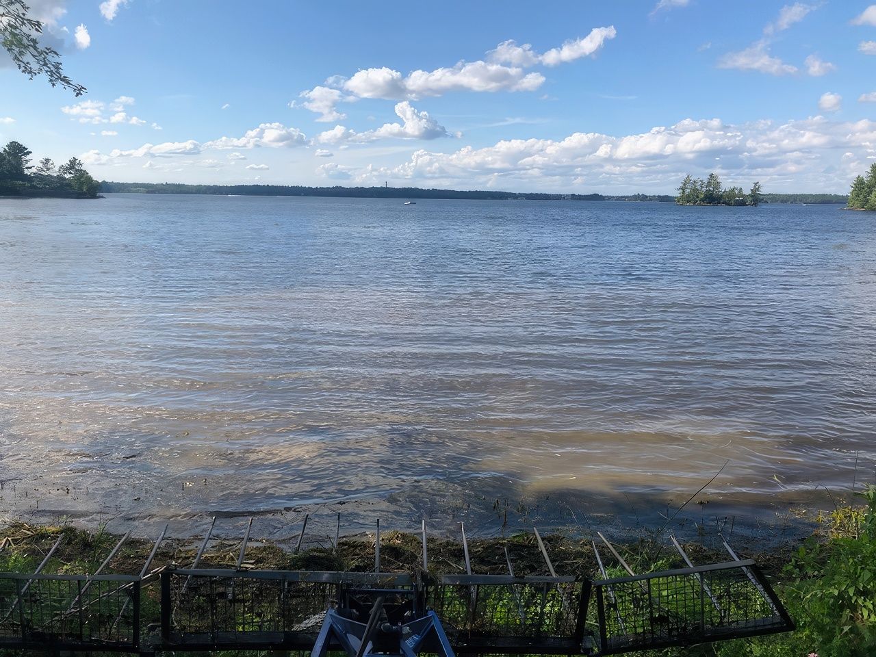 Seaweed Removal Havelock | Pondscaping Havelock