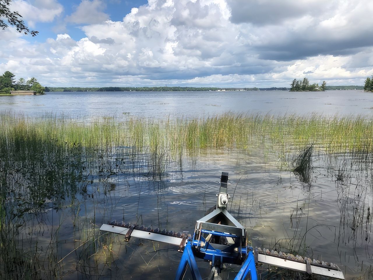 Pond weed Cleaning Havelock | Lake Weed Removal Havelock