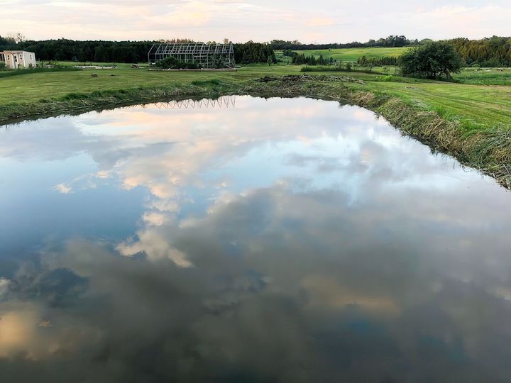 Golf Course Pond Weed Removal Orillia | Golf Course Pond Weed Cleaning Orillia