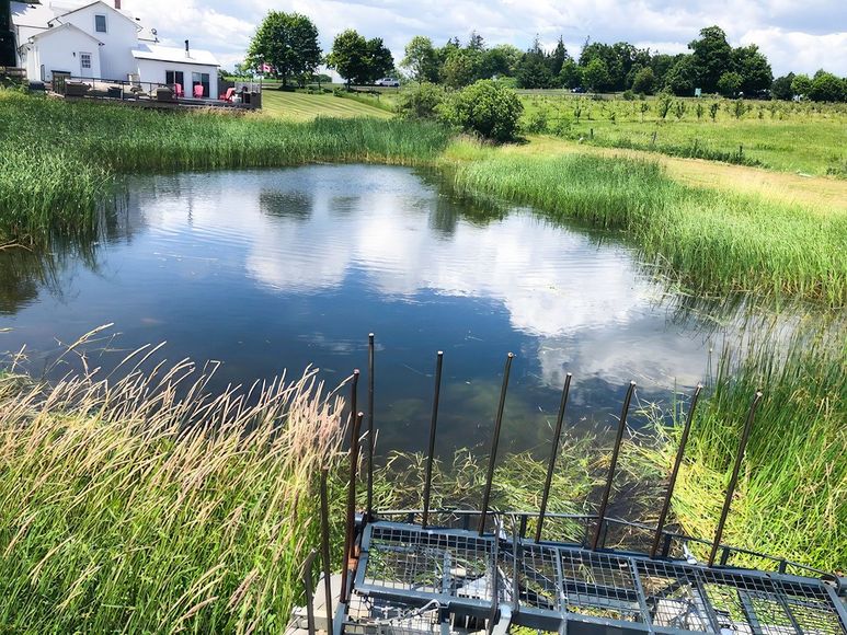 Pond weed Cleaning Georgina | Lake Weed Removal Georgina