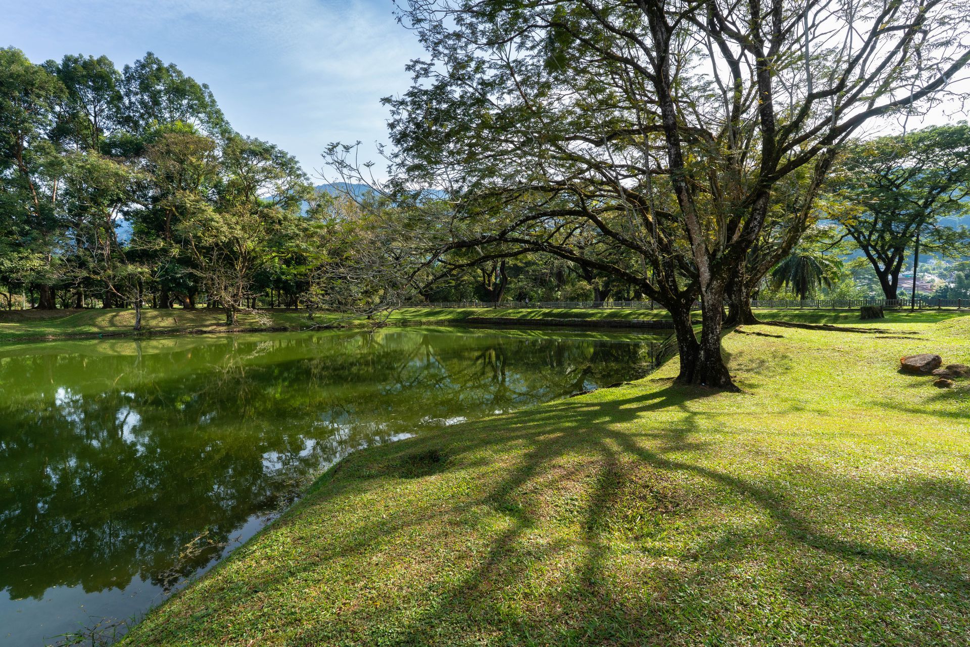 Backyard Pond Cleaning Huntsville | Pond Weed Removal Huntsville