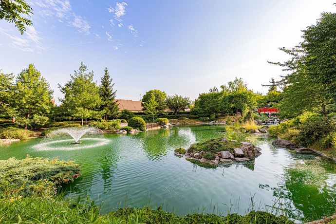 Aquatic Weed Harvesting Port Perry | Backyard Pond Cleaning Port Perry