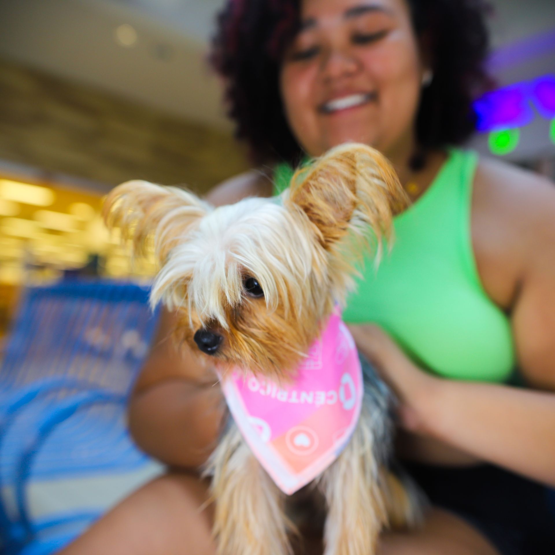 Yorkshire Terrier wearing a pink bandana, held by smiling person wearing green top.