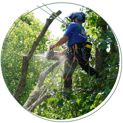Arborist using a chainsaw to cut a tree branch, wearing a helmet and safety gear.