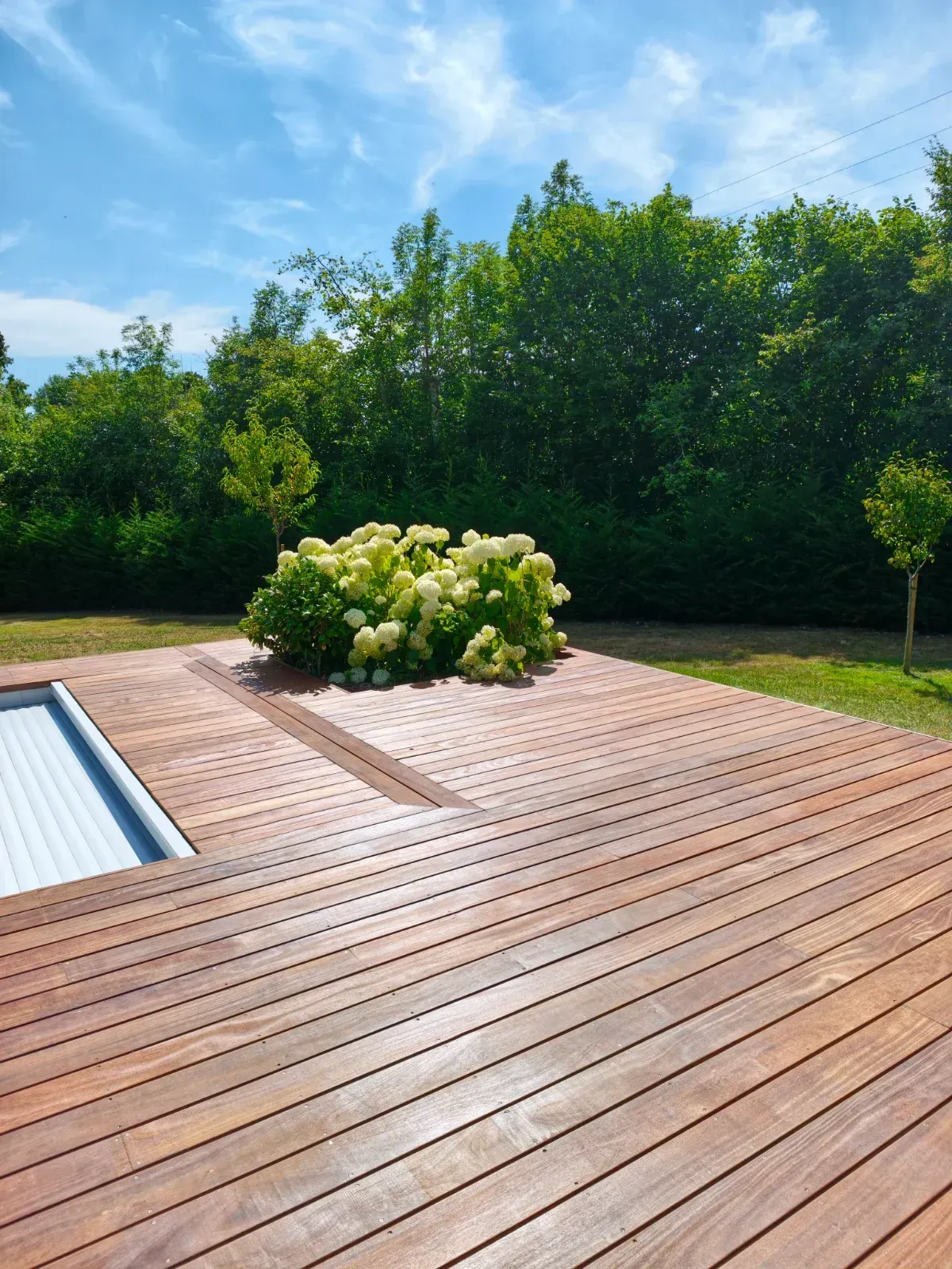 Terrasse de piscine en bois exotique avec bac végétal intégré