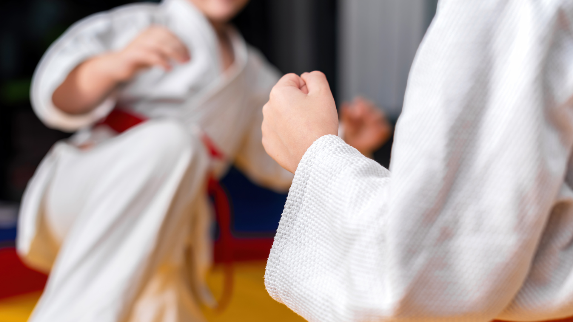 Adult martial arts training for adults with professional coaching and skill development in a martial arts studio