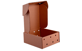 Caja de cartón marrón con la tapa abierta. Tiene varios agujeros pequeños en los laterales.
