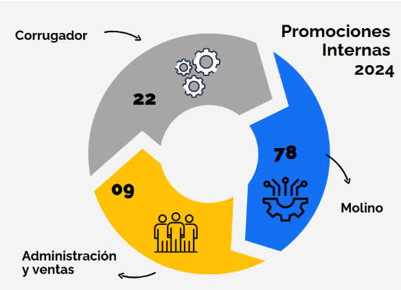 Gráfico circular que muestra las promociones internas para 2024, divididas en tres secciones: