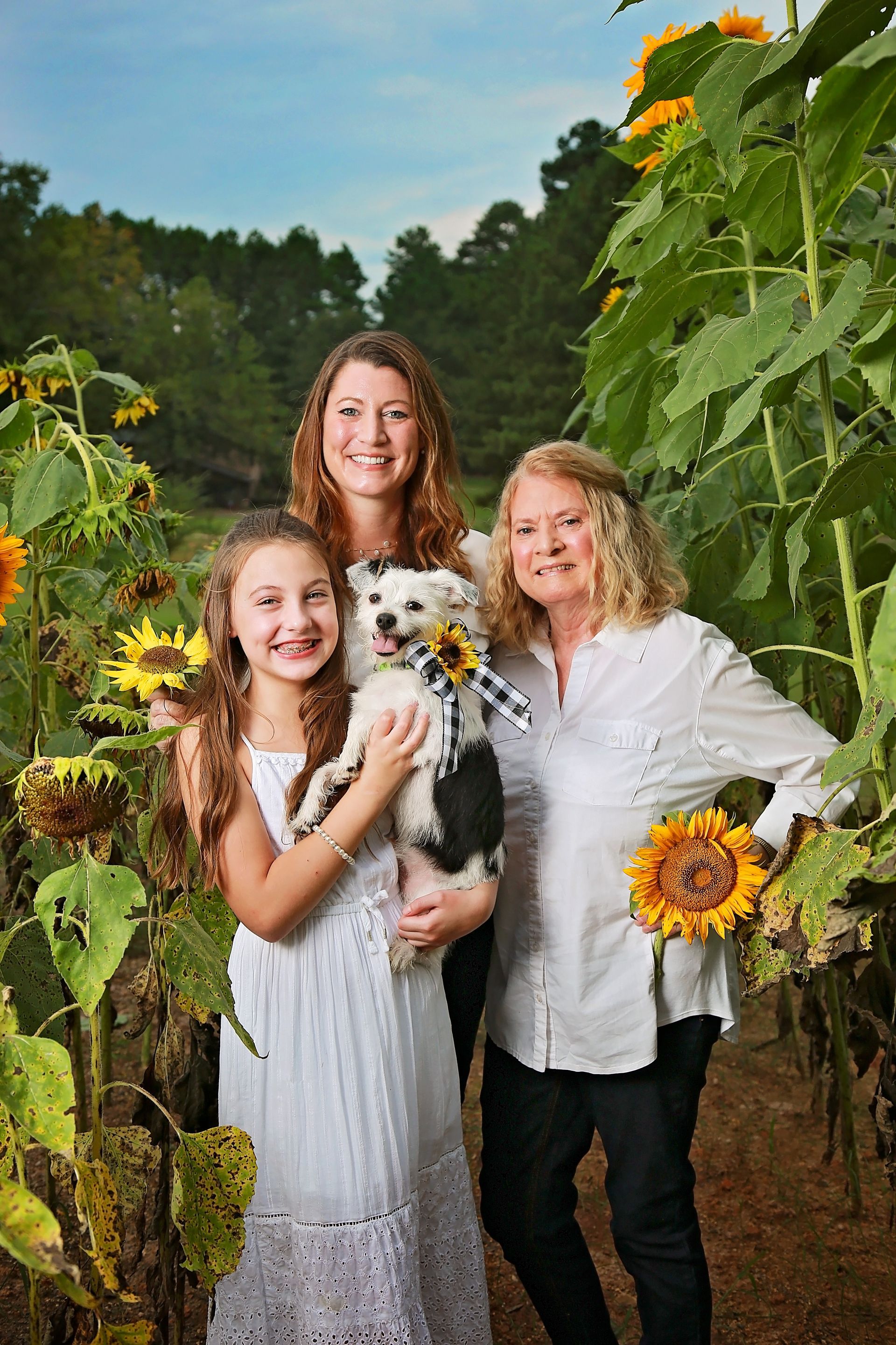 A family is posing for a picture in a field of sunflowers.