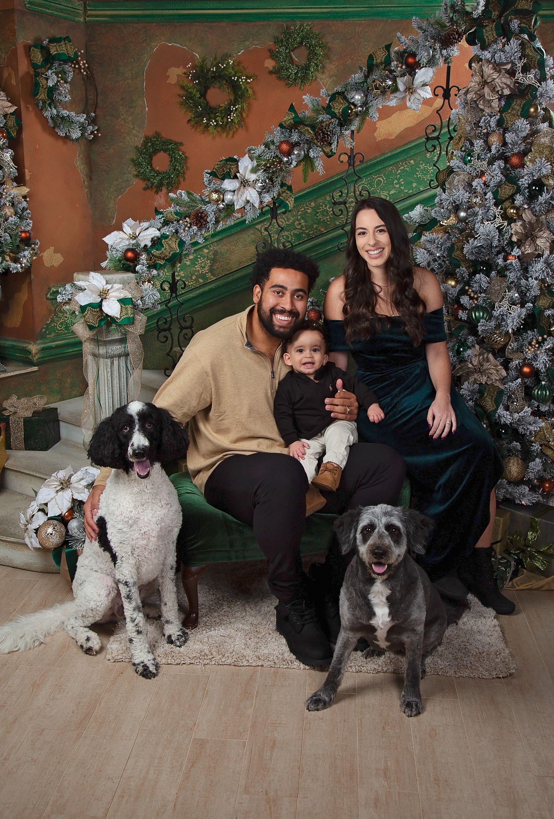 A family is posing for a picture with their dogs in front of a Christmas tree.