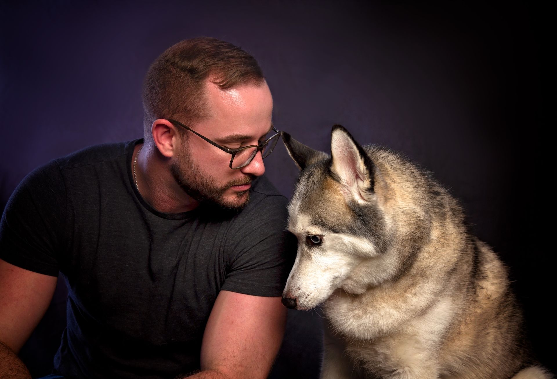 A man and a husky dog are looking at each other.