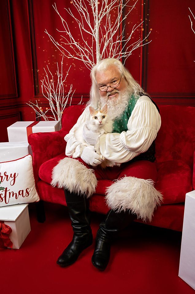 Santa Claus is sitting on a red couch holding a white long-haired cat.