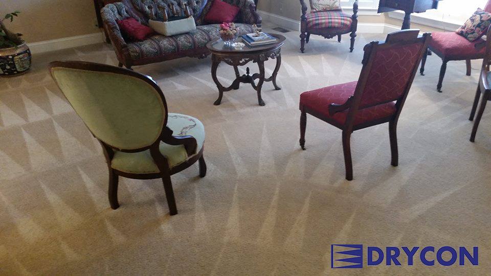 Vintage style living room — Murfreesboro, TN — Drycon of Middle Tennessee