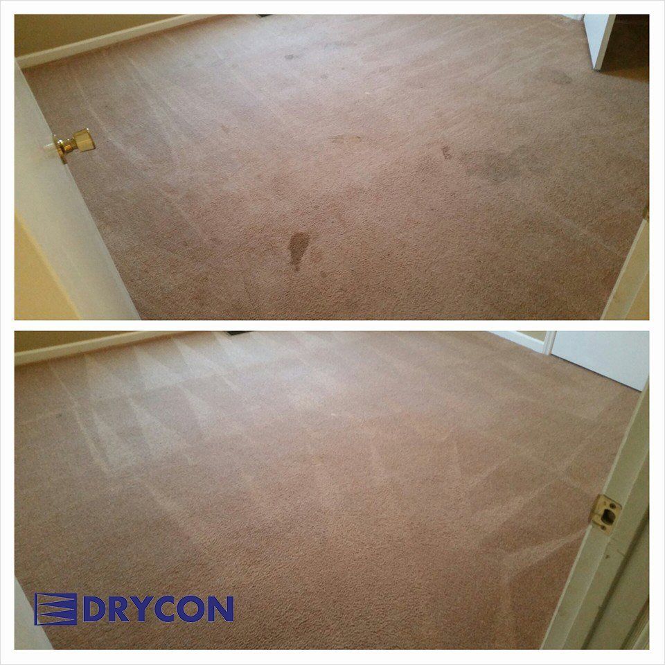 Carpet cleaning before and after — Murfreesboro, TN — Drycon of Middle Tennessee