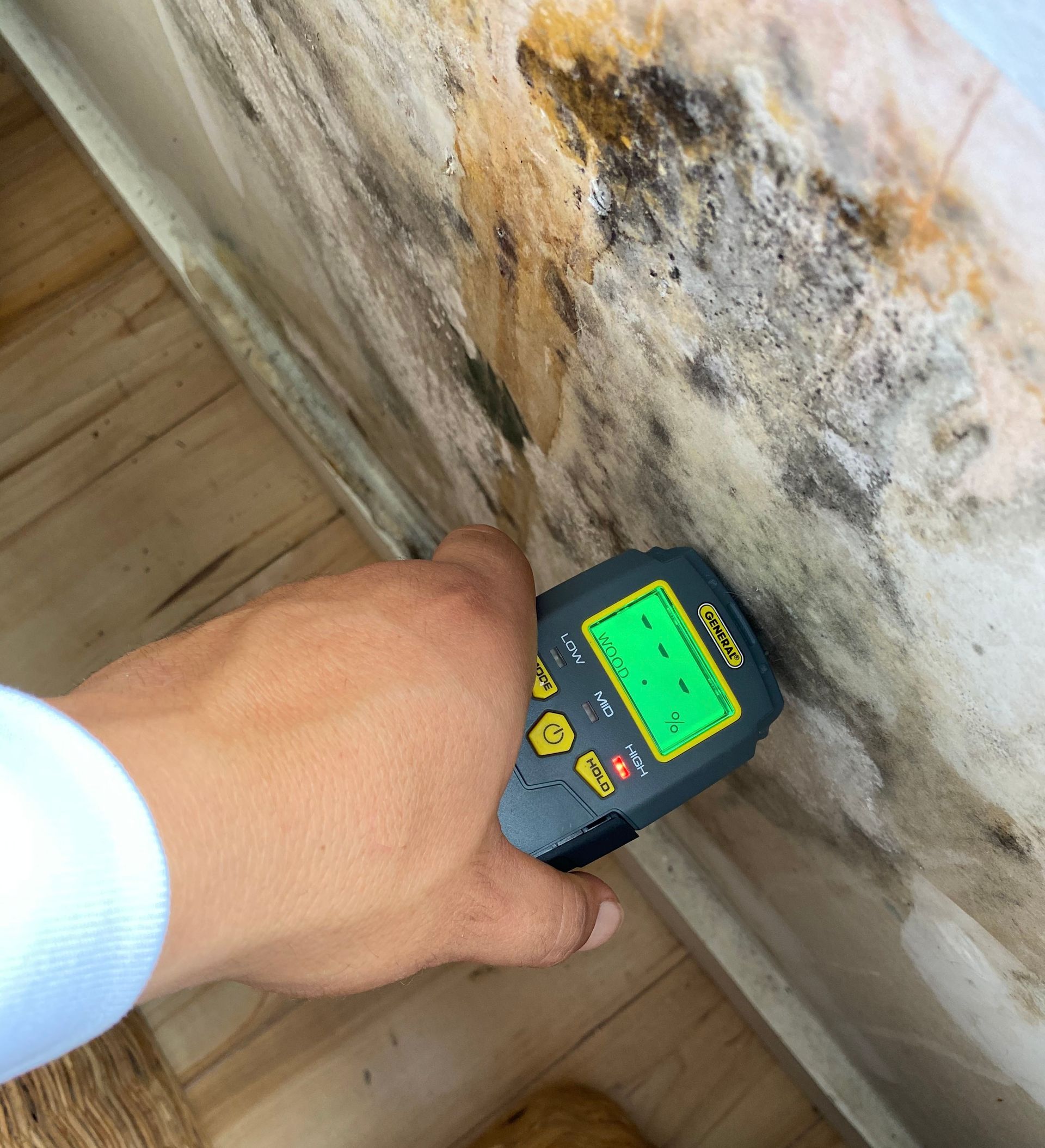 Hand holding moisture meter near moldy surface in a wooden structure.