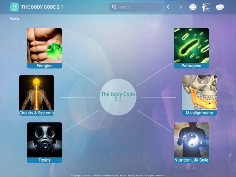 body code diagram