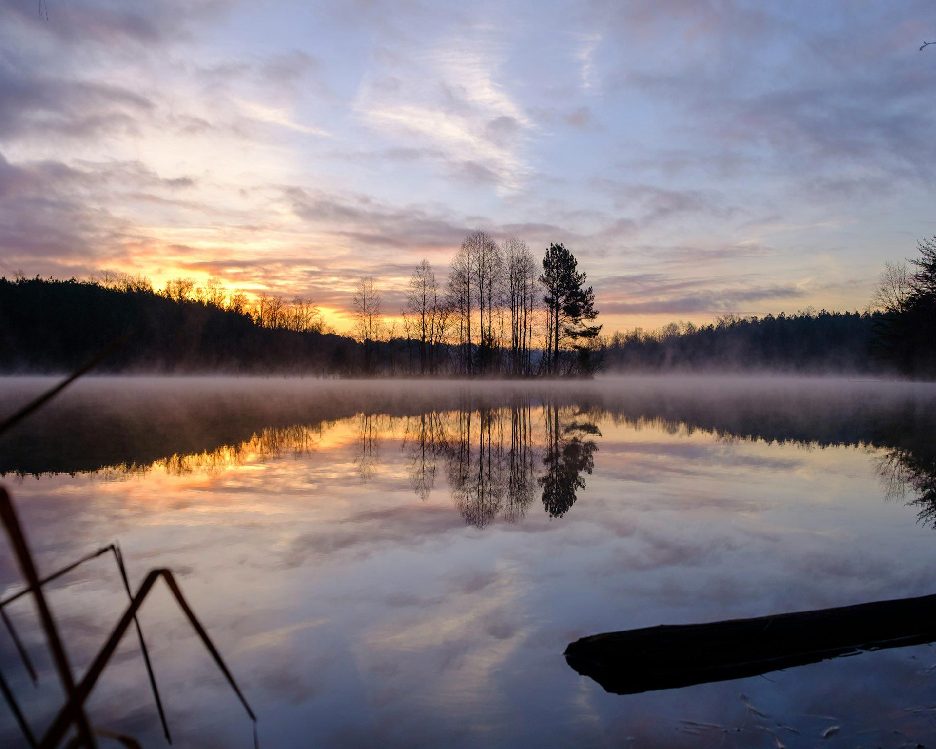 Sunrise over a misty lake, with silhouetted trees reflected in calm water in Ball Ground, Georgia, USA