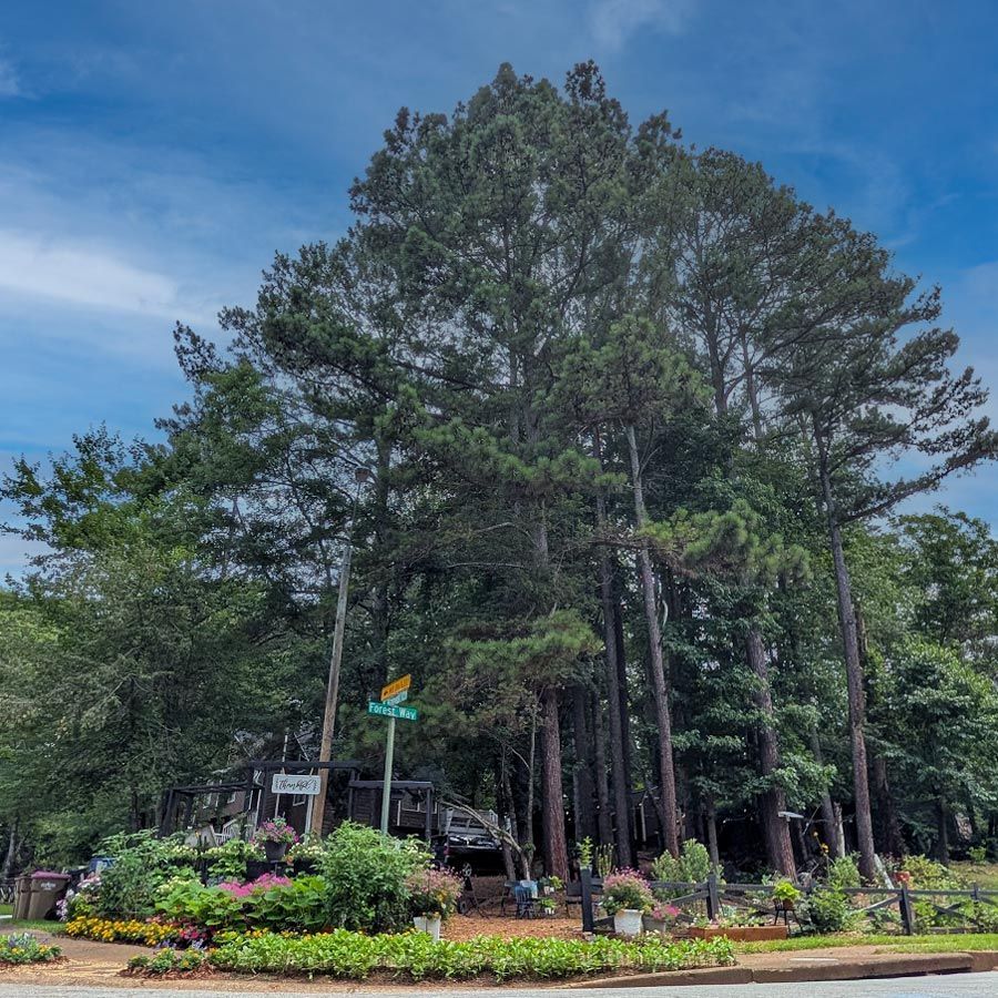 Marietta, GA Custom Home Builder | ZenDev Custom Homes