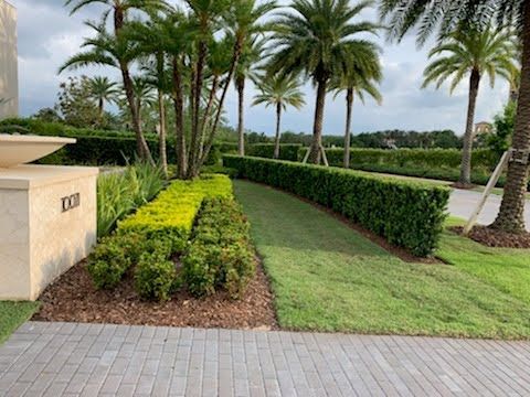 Lush landscaping with palm trees, green hedges, and manicured lawn alongside a brick walkway.