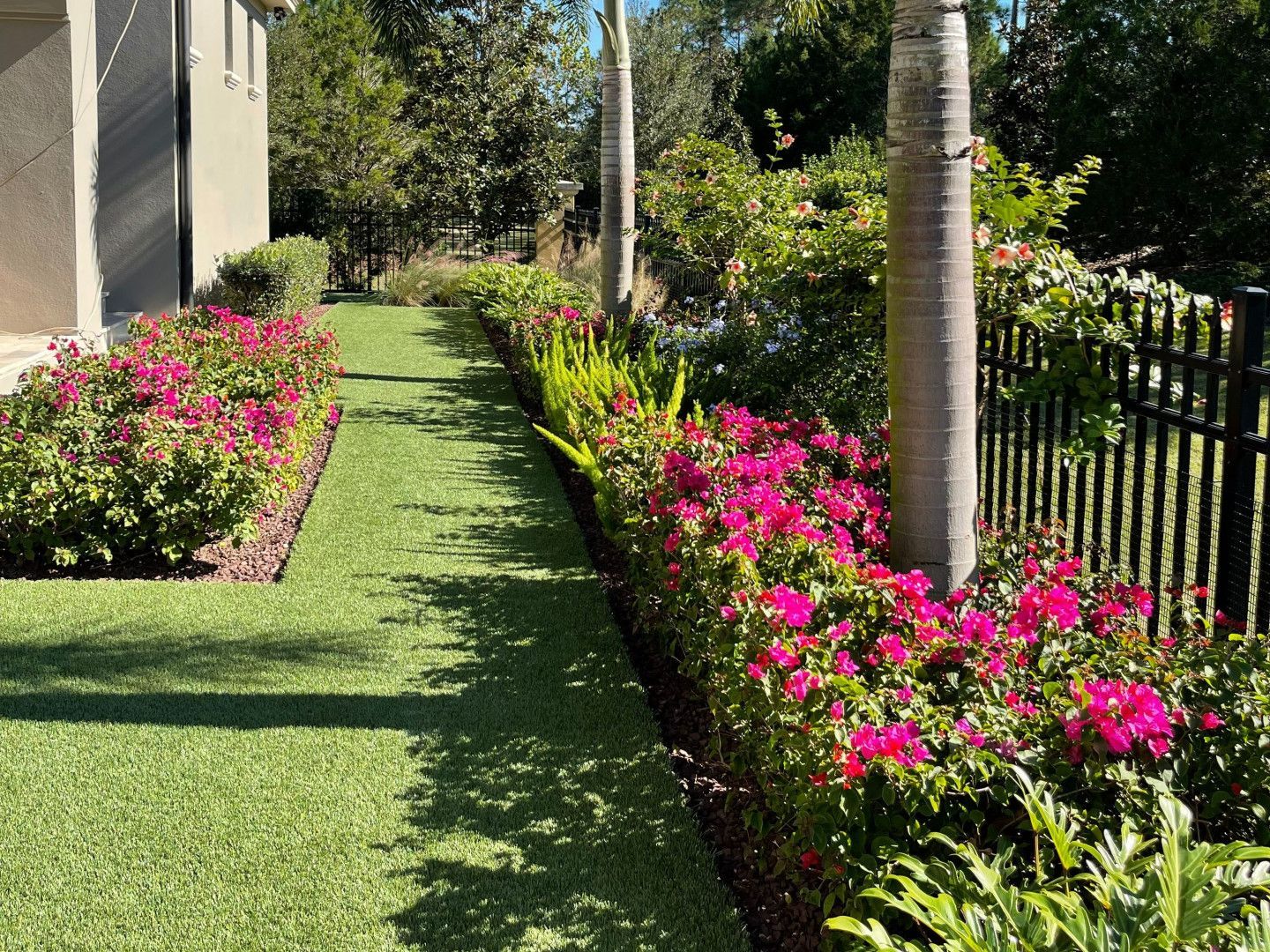 Pathway lined with vibrant pink flowering bushes and green grass.