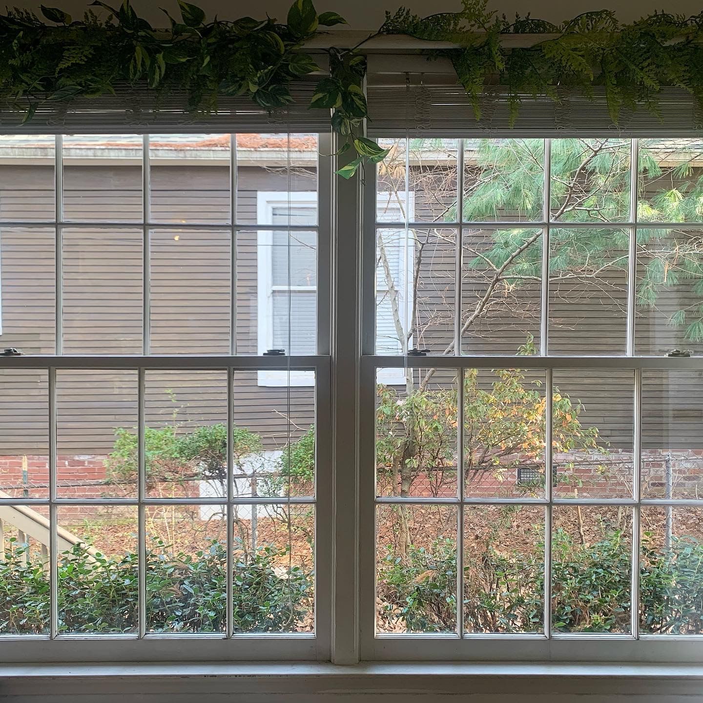 Two multi-paned windows with a view of a brown building and foliage.