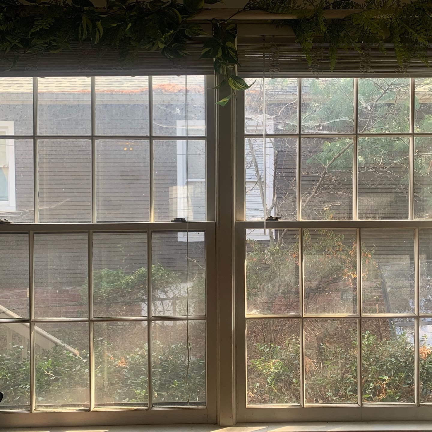 Two multi-pane windows with view of exterior foliage and buildings, sunlight streaming in.
