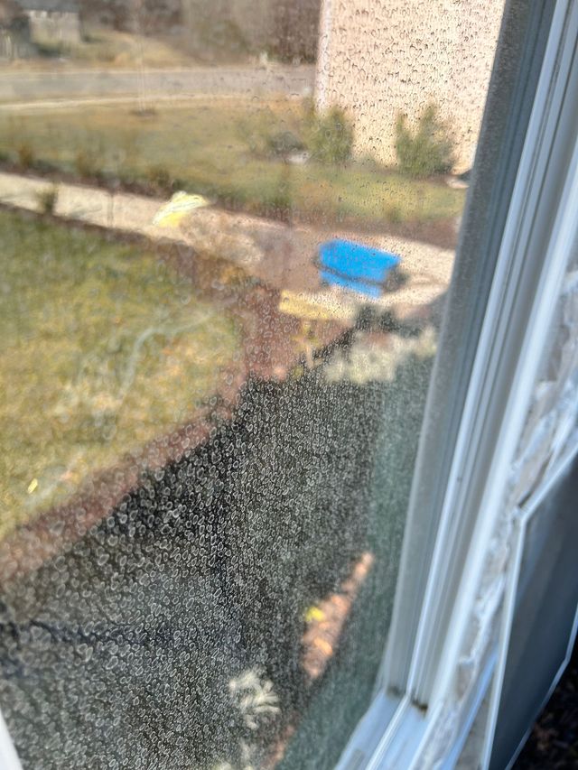 A view through a window showing a lawn, a stone retaining wall, and a small blue plastic object on the ground.