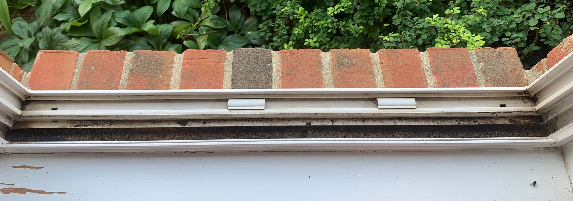 Close-up of a dirty window sill with brickwork above. Green foliage in the background.