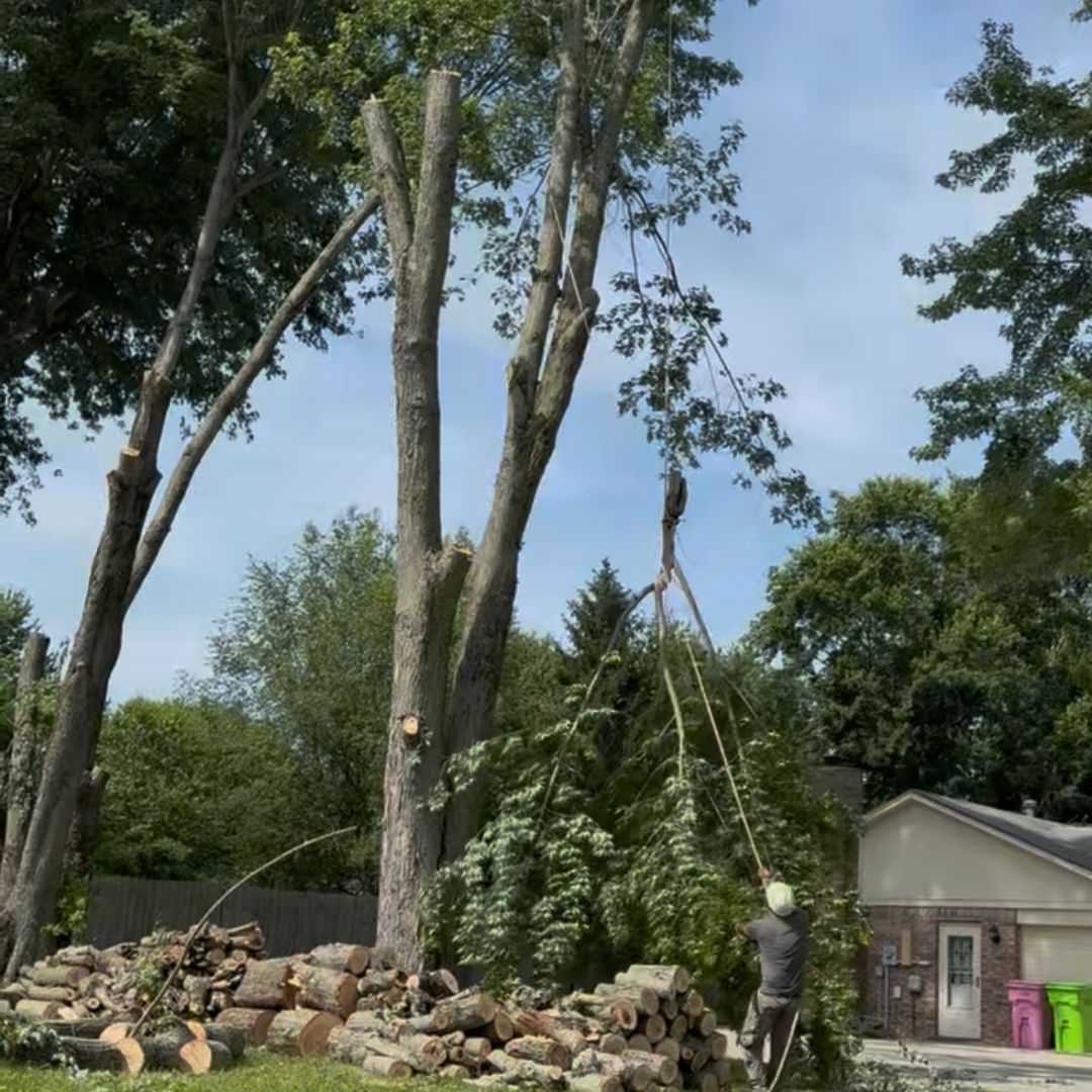 tree pruning